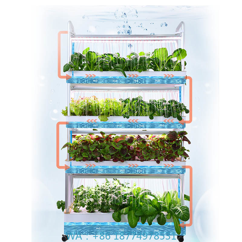 Diy Automation - System hydroponiczny do uprawy roślin, inteligentny