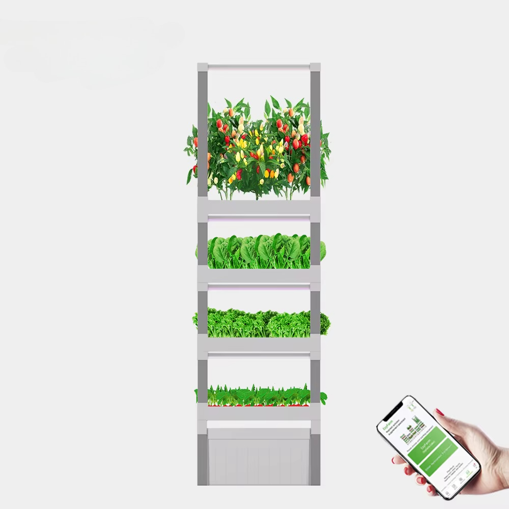System hydroponiczny do uprawy – Diy Home Automation System recenzja i cena