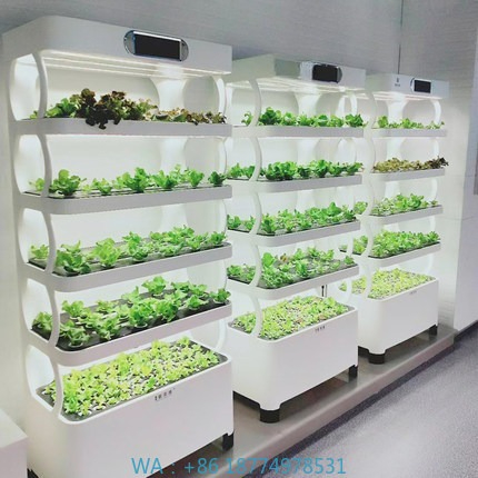 Automatyczny system hydroponic – Diy Home Automation System recenzja i cena