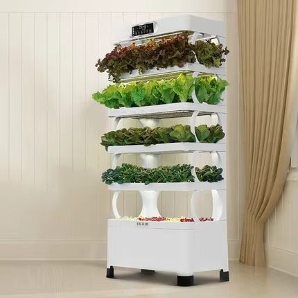 Automatyczny system hydroponic – Diy Home Automation System recenzja i cena