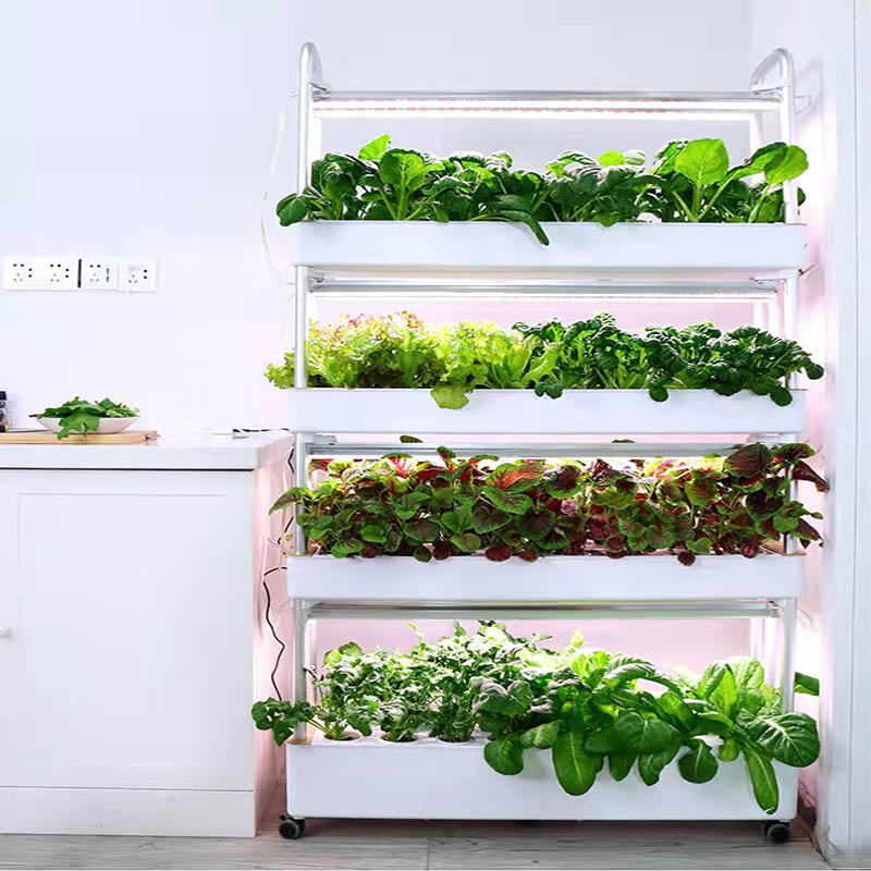 System hydroponiczny do uprawy – Diy Automation recenzja i cena
